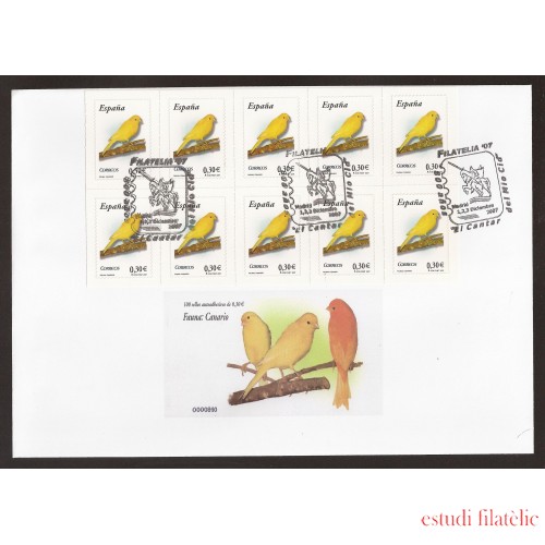 España 4301H 2007 matasello Filatelia 07 Madrid Mio Cid Canario fauna