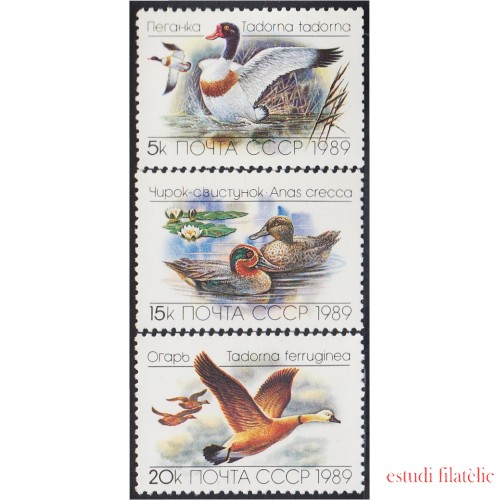 Rusia 5641/43 1989 Fauna Patos y gansos MNH