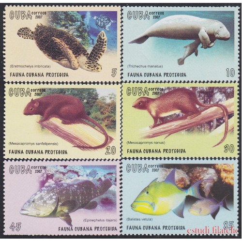 Cuba 4520/25 2007 Fauna Cubana protegida MNH