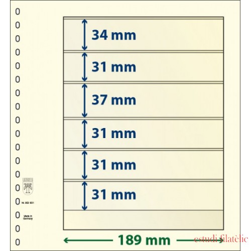 Lindner 802601P Hojas T-Blanko Creaciones Personales Altura: 31,31,31,37,31,34 mm. pqte 10