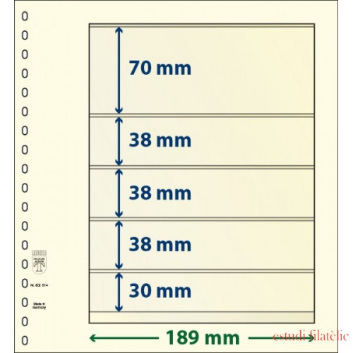 Lindner 802514P Hojas T-Blanko Creaciones Personales Altura: 30,38,38,38,70 mm. pqte 10