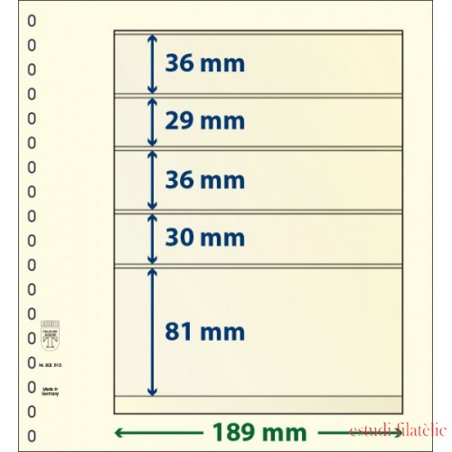 Lindner 802513P Hojas T-Blanko Creaciones Personales Altura: 81,30,36,29,36 mm. pqte 10