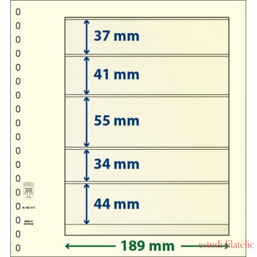 Lindner 802510P Hojas T-Blanko Creaciones Personales Altura: 44,34,55,41,37 mm. pqte 10