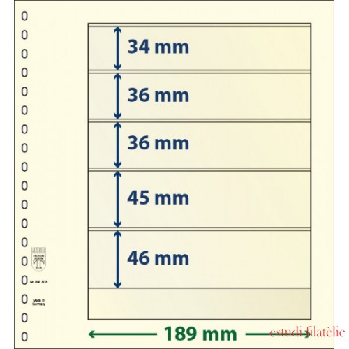 Lindner 802508P Hojas T-Blanko Creaciones Personales Altura: 46,45,36,36,34 mm. pqte 10