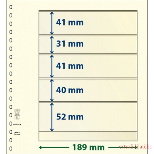 Lindner 802504P Hojas T-Blanko Creaciones Personales Altura: 52,40,41,31,41 mm. pqte 10