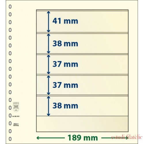 Lindner 802501P Hojas T-Blanko Creaciones Personales Altura: 38,37,37,38,41 mm. pqte 10