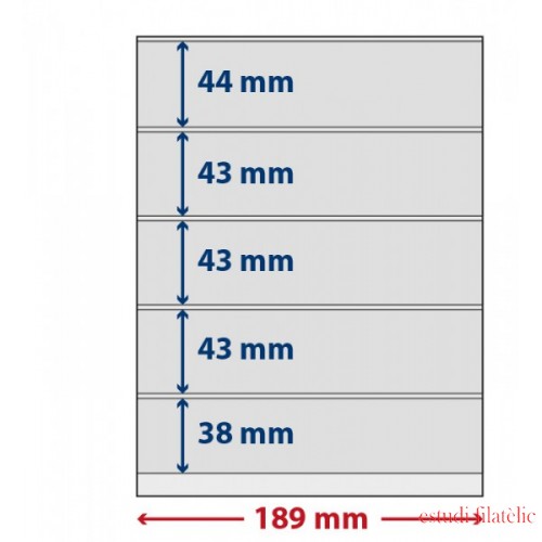 Lindner S802512H Hojas T-Freestyle con 5 tiras (38 mm) y tira autoadhesiva