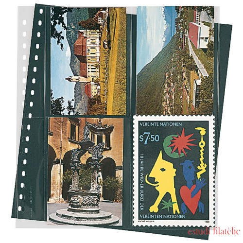 Lindner 829P Hojas Transparentes para postales