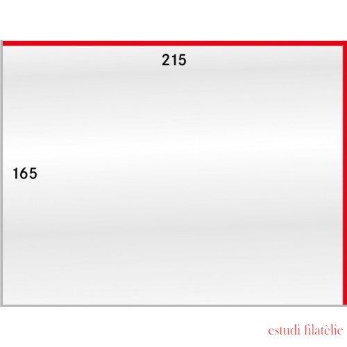 Lindner 899LSP Bolsas de cristal protectoras para DIN A5, 165 x 215 mm
