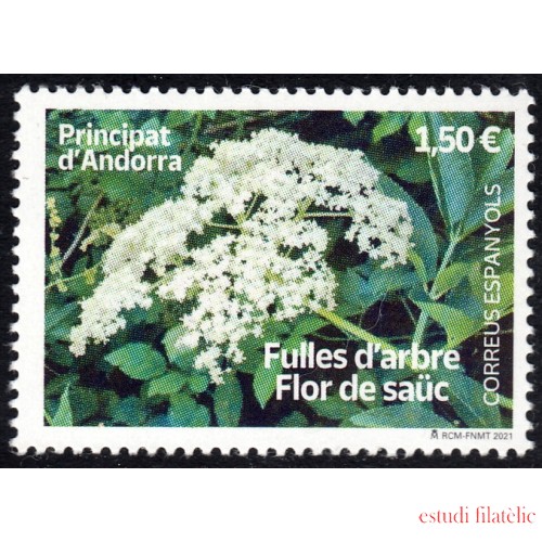 Andorra Española 515 2021 Flor de Saüc MNH