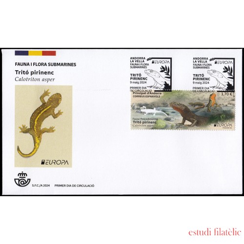 Andorra Española 558 2024 Fauna y flora submarinas Tritó pirinenc SPD Sobre Primer Día