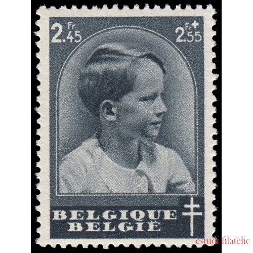 TEN/S Bélgica 446 1937  Día del sello Efigie del príncipe Baudouin MNH