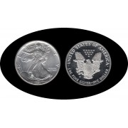 Estados Unidos United States 1 OZ onza 1991 Liberty 1$  Plata Ag