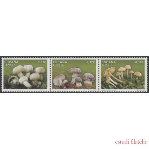 España Spain 4822/24 2013 Micología Setas Mushrooms MNH