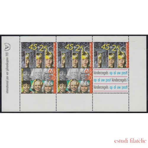 Holanda Nederlands HB 23 1981 Año Internacional de los discapacitados MNH