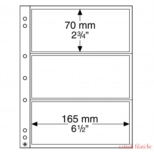 Leuchtturm 316522 Hojas para monedas NUMIS, de 3 divisiones para billetes de banco